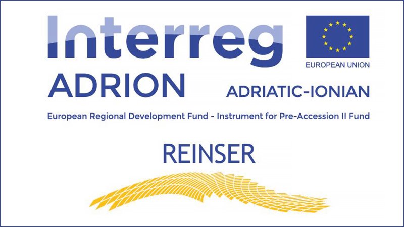 reinser project 00